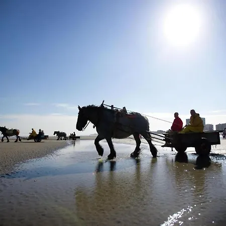 In Near The Beach, Cleaning Included Апартаменты *